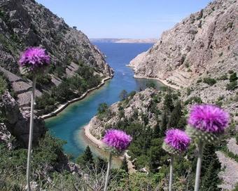 Apartment Jablanac 2