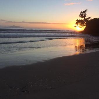 Strathaven Bed And Breakfast