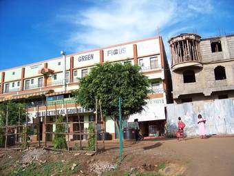 Hotel Green Ficus Place