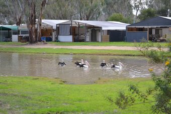 Time Out Holiday Park