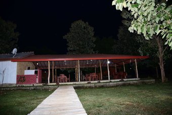 Ver fotos