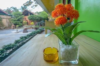 Hotel Butterfly Totem Guesthouse