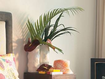 Hotel Vouliagmeni Suites