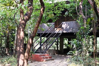 Hotel Tiger N Woods Resort