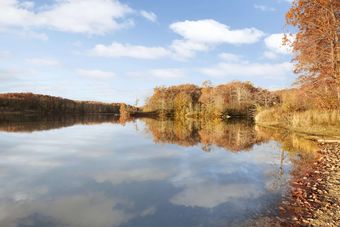 Hotel Hampton Inn Forrest City