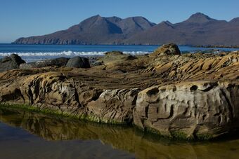 Glebe Barn Apartment