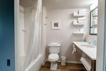 Hotel Hampton Inn Caryville