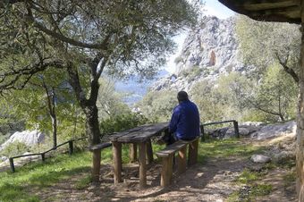 Apartamentos Los Chozos