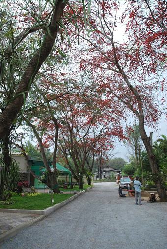 Hotel San Paisan Resort