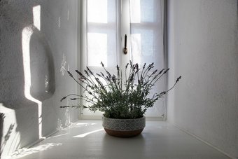 Hotel Orologopoulos Mansion