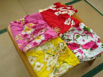 Hotel Minshuku Myojoso