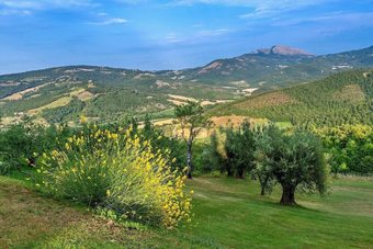 Posada Borgo Di Bastia Creti