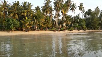 Hotel Dusita Resort Kohkood