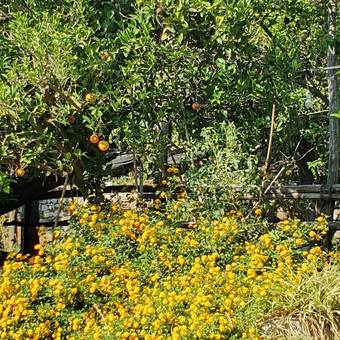 Bed & Breakfast Casa Nannina