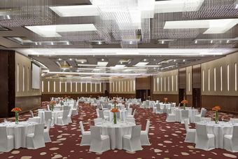 Millennium Hotel Hail