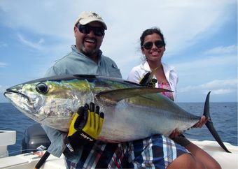 Hotel Seagull Cove Resort