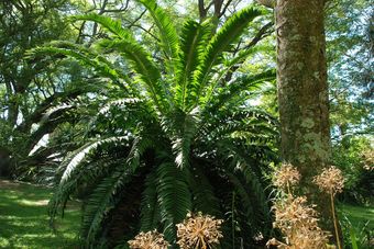 Posada Reilly's Rock Hilltop Lodge