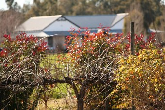 The Farmhouse At Blue Wren Wines