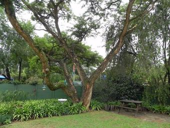 Chez Nous Bed & Breakfast