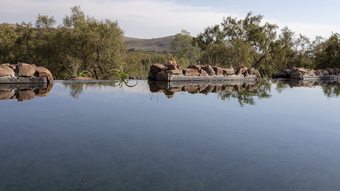 Cradle Boutique Hotel