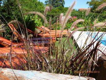 Lodge Caba�as Troncopiedra