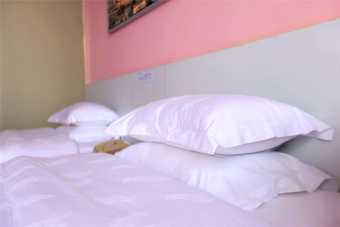 Hotel Colour Inn Shenzhen Shekou Branch