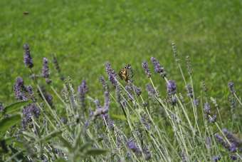 Agroturismo Agriturismo Altana Del Motto Rosso