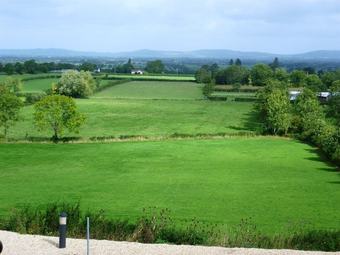 Posada The Olive Mill