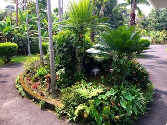 Bed & Breakfast Mermaid Dreams