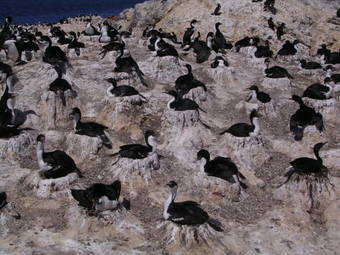 Hotel Bahia Bustamante