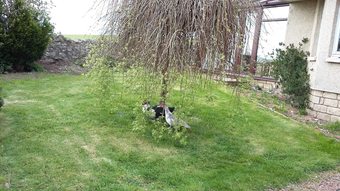 Bed & Breakfast Goldilands