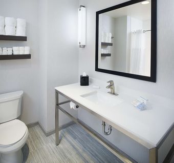 Hotel Hilton Garden Inn Dallas/arlington South