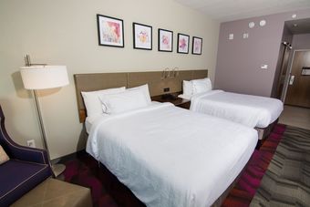 Hotel Hilton Garden Inn Tampa Suncoast Parkway