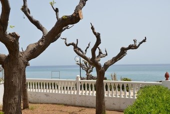 Apartamentos Stegna Ilion