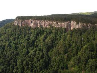 Lodge Springbrook Lyrebird Retreat