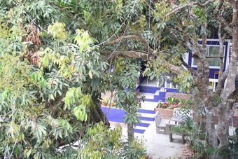 Hotel Shin Sane Guesthouse