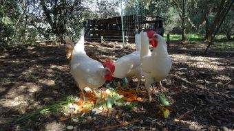 Hotel La Bastide D'eygali�res