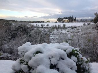 Hotel B&B Antica Trattoria Al Principe