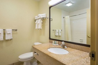 Hotel Quality Inn & Suites Nrg Park - Medical Center