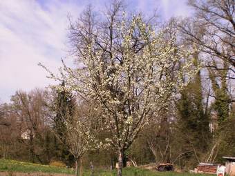 Bed & Breakfast Les Chambres De Mado