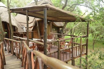 Cabana Pezulu Tree House Lodge