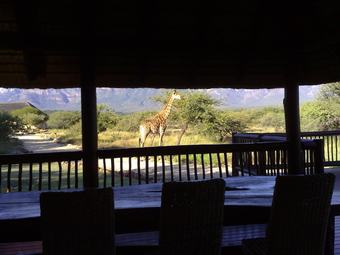 House 27 Blyde Wildlife Estate