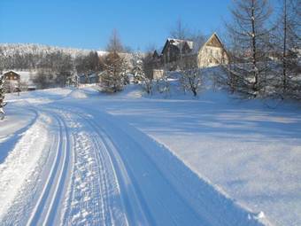 Aparthotel Ferienpark Seiffen