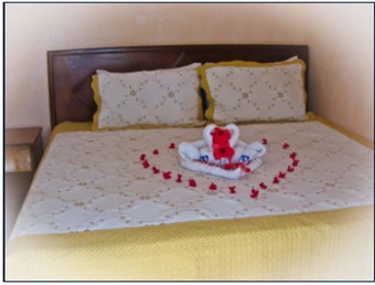 Hotel Executive Shaw Park Guest House