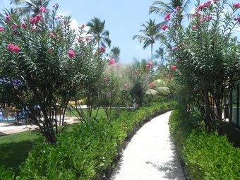 Apartamentos Flats No Carneiros Beach Resort