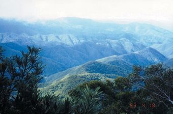 Moffat Falls Cottage
