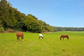 Hostal Klippenhotel Garni