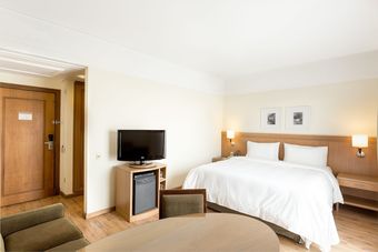 Hotel Royal Palm Tower Carlos Gomes