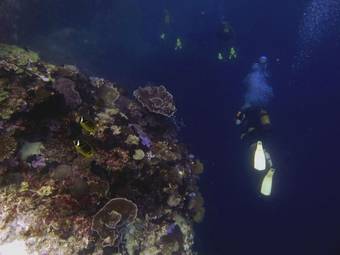 Posada Swahili Divers & Gecko Nature Lodge