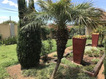 Hotel Vj's Guesthouse And Restaurant